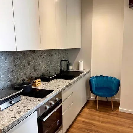 Luxury Near & Grand Park Apartman Tirana